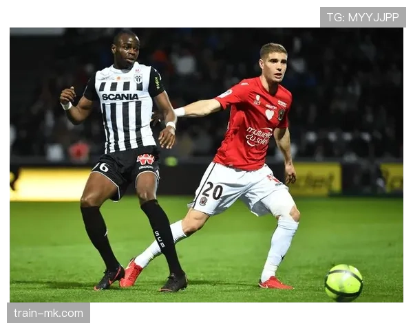 南特中场组织 南特中场组织