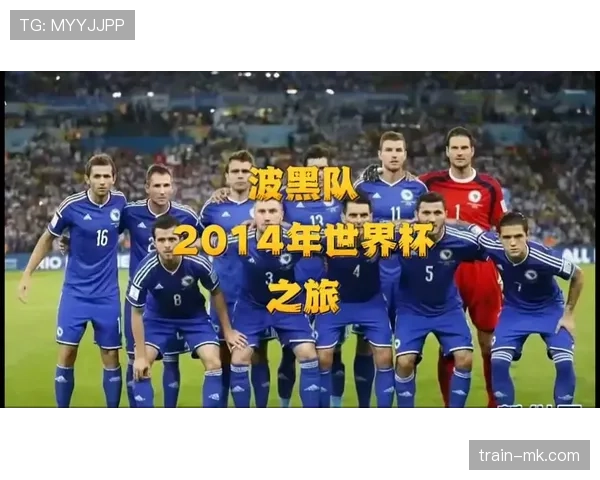 波黑2026世界杯晋级之路分析 黄金一代能否圆梦北美赛场